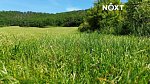 Prodej pozemku lesy pozemek 3149 m², Všestary