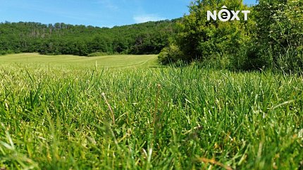 Prodej pozemku lesy pozemek 3149 m², Všestary