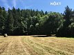 Prodej pozemku louky pozemek 6060 m², , Družec