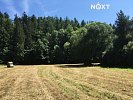 Prodej pozemku louky pozemek 6060 m², , Družec