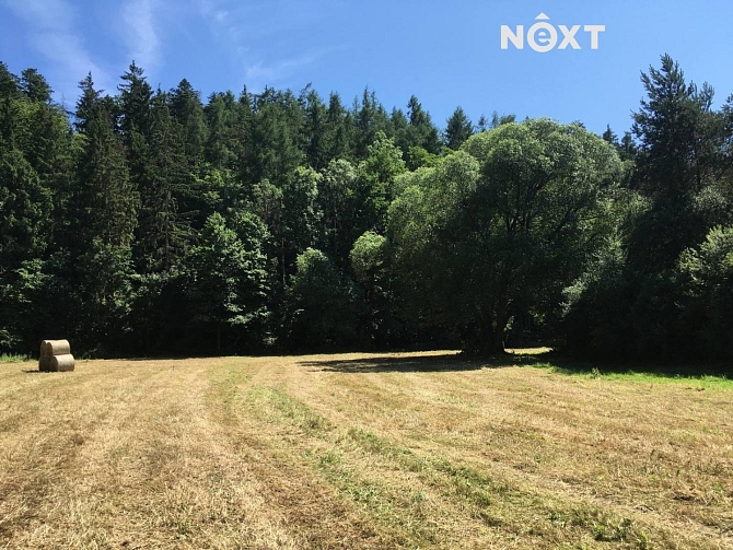 Prodej pozemku louky pozemek 6060 m², , Družec