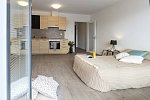 Pronájem bytu 1+kk 56 m², Vašíčkova, Kladno
