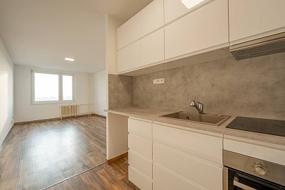 Pronájem bytu 2+kk 47 m², Mládežnická, Kladno