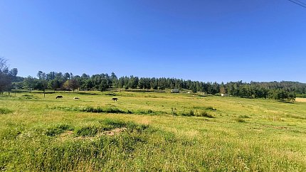 Pronájem pozemku louky pozemek 142000 m², Všestary