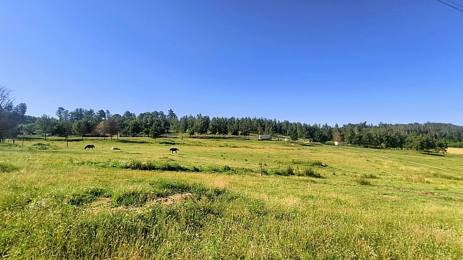 Pronájem pozemku louky pozemek 142000 m², Všestary