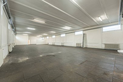 Pronájem komerčních prostor sklady 447 m², Vídeňská, Vestec