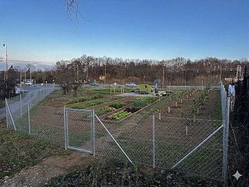 Prodej pozemku zahrady pozemek 4381 m², Nad Benzinou, Veltrusy