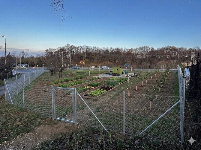 Prodej pozemku zahrady pozemek 4381 m², Nad Benzinou, Veltrusy